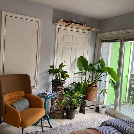 Luxury Greenhouse Studio Apartment Austin Exterior photo