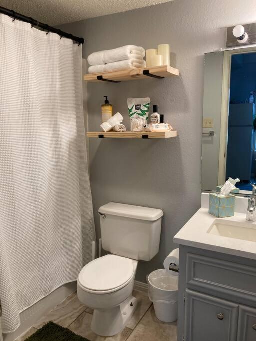 Luxury Greenhouse Studio Apartment Austin Exterior photo